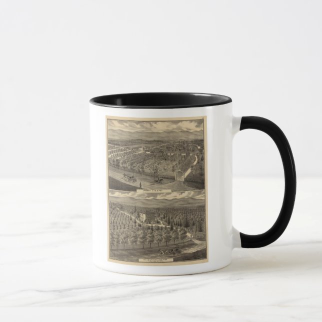 Taza Nacimiento Fox, res, huerto (Derecha)