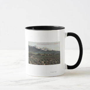 Taza Naranja crece a distancia con el viejo Monte Baldy