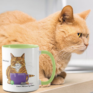 Taza Naranja Gato Gengibre Dormilón Café Verde Púrpura