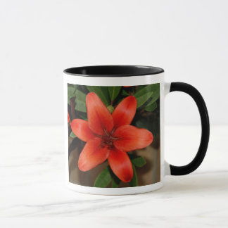 Taza Naranja perfecto Lily Flower