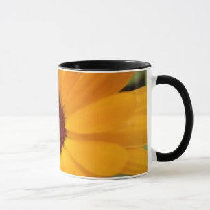 Taza Naranja Rain Daisy Mug