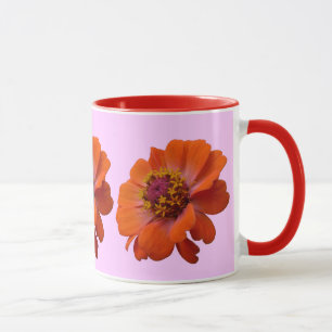 Taza Naranja Zinnia Wildflower Naturaleza Floral