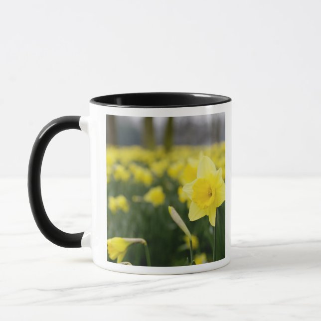 Taza Narcisos (RF) (Izquierda)