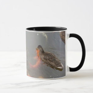 Taza Natación de los patos del pato silvestre y de los