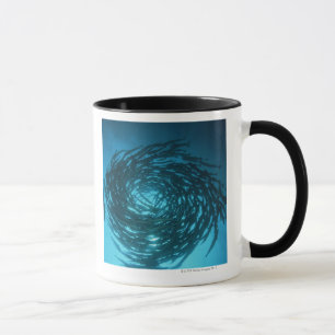 Taza Natación del barracuda de Blackfin en círculos