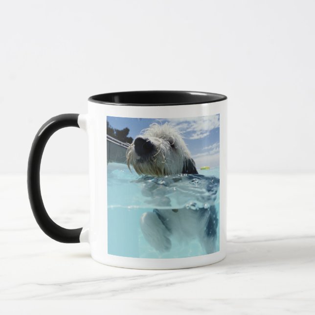 Taza Natación del perro en una piscina (Izquierda)