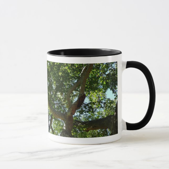 Taza Naturaleza verde del árbol de Sycamore (Derecha)