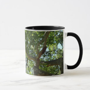 Taza Naturaleza verde del árbol de Sycamore