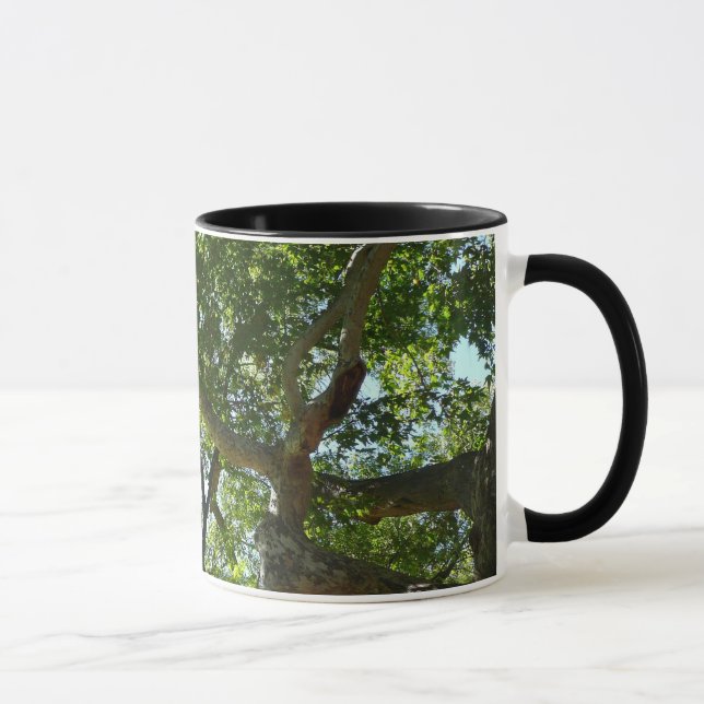 Taza Naturaleza verde del árbol de Sycamore (Derecha)