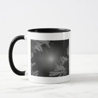 Taza Navidades Poinsettia Black And Gray I