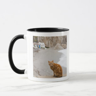 Taza Nerja Málaga Andalucía España