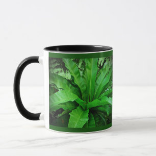Taza Nest Fern de pájaro