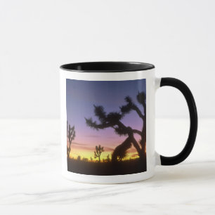 Taza NEVADA. EE. UU. Árboles de Josué Yucca brevifolia)