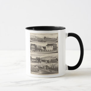 Taza Nevis, residencias verdes, granjas