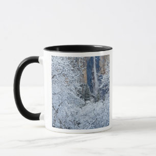 Taza Nieve fresca en los árboles debajo de Bridalveil