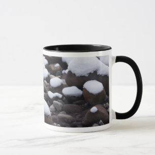 Taza Nieve y rocas, parque nacional Mt. Rainier