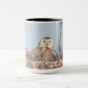 Taza Nieves en la playa