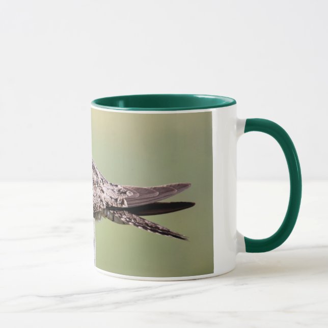Taza Nighthawk común (Derecha)