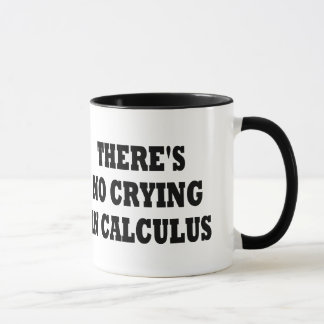 TAZA NO HAY GRITERÍO EN CÁLCULO