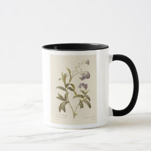 Taza Nomeolvides