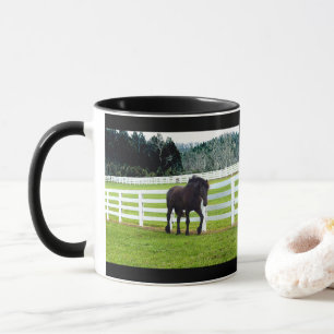 Taza Nonesuch en Cedar Point 