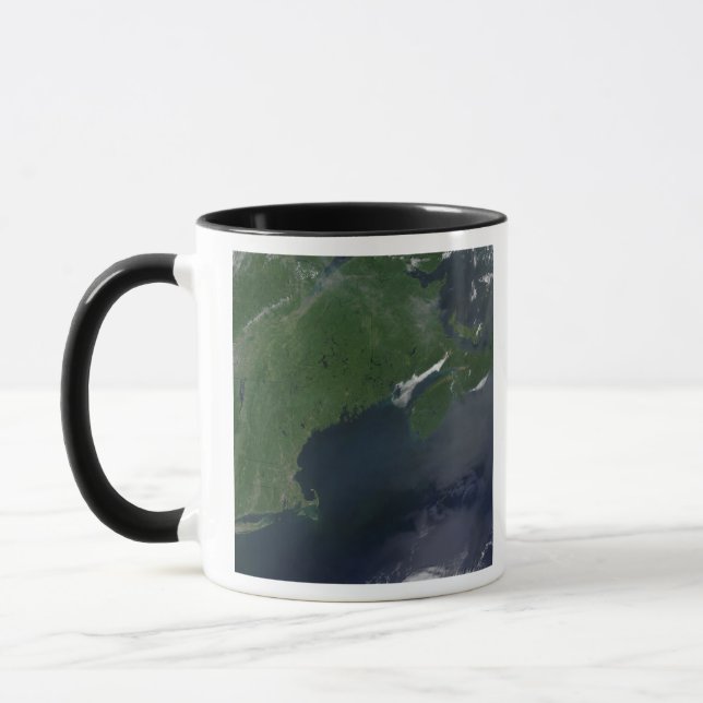 Taza Noreste de Estados Unidos y Canadá (Izquierda)