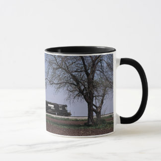 Taza - Norfolk meridional en Tolono