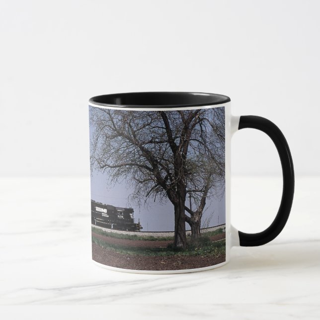 Taza - Norfolk meridional en Tolono (Derecha)