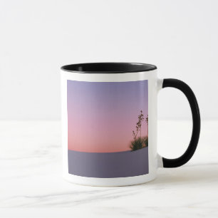 Taza Norteamérica, América, Nuevo México, Blanco