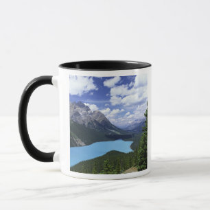 Taza Norteamérica, Canadá, Alberta, Jasper 6