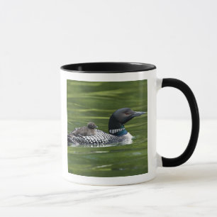 Taza Norteamérica, Canadá, Columbia Británica, Lac Le