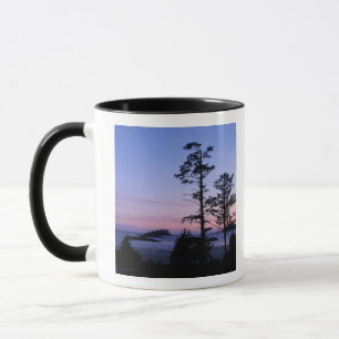 Taza Norteamérica, Canadá, Isla de Vancouver, árboles