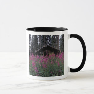 Taza Norteamérica, Canadá, Yukon. Cazadores abandonados