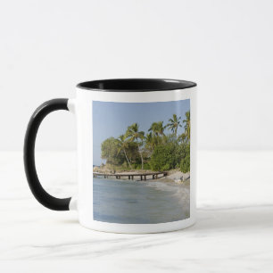 Taza Norteamérica, Caribe, República Dominicana.