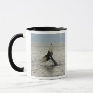 Taza Norteamérica, EE. UU., AK, Paso Interior. Jorobada
