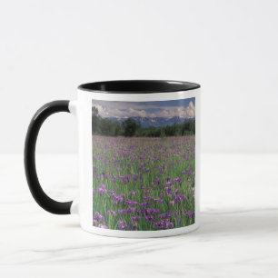 Taza Norteamérica, EE. UU., Alaska, Anchorage, Eklutna