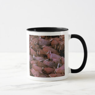 Taza Norteamérica, EE. UU., Alaska, Delta del Yukón Nac