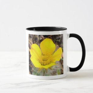 Taza Norteamérica, EE. UU., Alaska, Denali Nacional