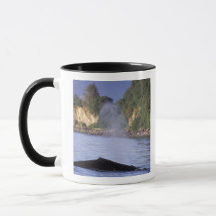 Taza Norteamérica, EE. UU., Alaska, Paso Interior.