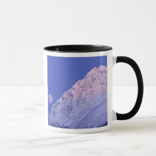 Taza Norteamérica, EE. UU., Alaska, río Knik,