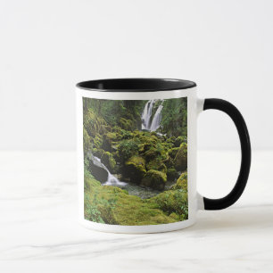 Taza Norteamérica, EE. UU., Alaska. Una cascada y