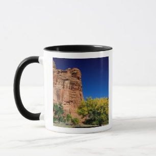 Taza Norteamérica, EE. UU., Arizona, Navajo indio 3