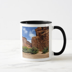 Taza Norteamérica, EE. UU., Arizona, Navajo indio 5