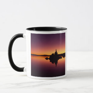 Taza Norteamérica, EE. UU., California, Lago Mono,