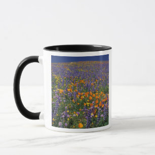Taza Norteamérica, EE. UU., California, Los Ángeles 2
