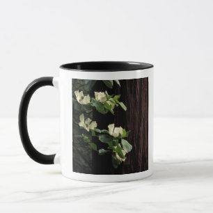 Taza Norteamérica, EE. UU., California, Yosemite 2