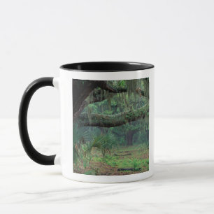 Taza Norteamérica, EE. UU., Georgia, Cumberland