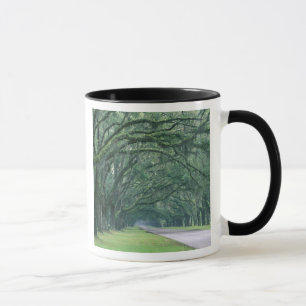 Taza Norteamérica, EE. UU., Georgia, Savannah,