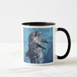 Taza Norteamérica, EE. UU., Hawái. Delfín