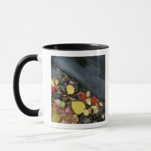 Taza Norteamérica, EE. UU., ME, Un arroyo en otoño.